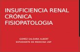 Insuficiencia renal crónica Fisiopatológica USP