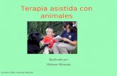 Terapia Asistida Con Animales2