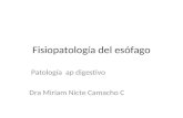 Fisiopatologia esofago