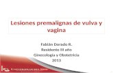 Lesiones premalignas de vulva y vagina