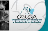 Fundación O.R.C.A. - Presentación