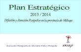 Plan estrategico-2013-2014