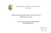 Hongos EndóFitos En Plantas Medicinales