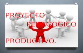 Proyectos pedagogicos productivos. (1)