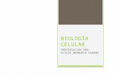 Biología celular b