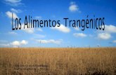 Los alimentos transgénicos, Carlos y Fernando.CMC
