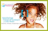 Nasofaringe, trompa de Eustaquio y oído medio: Anatomía, fisiología, fisiopatología y patogénesis