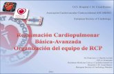 Curso basico RCP Htal Casal Ramos pdf