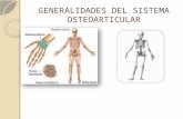 Generalidades del Sistema Osteoarticular III