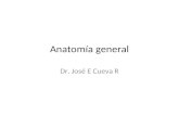 Anatomía general, introducción a la anatomia (1)