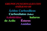 Acidos carboxilicos y_derivados