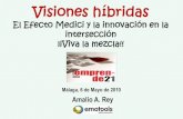 "Visiones hibridas: El Efecto Medici y la innovación en la intersección ¡¡Viva la mezcla!!"