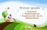 1° grado español, matemáticas, exploración. Plan de estudios 2011