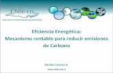 Eficiencia Enerergética: Mecanismo rentable para reducir emisiones de carbono, Daniela Zaviezo