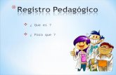 6 registro pedagógico
