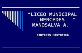 HISTORIA DEL LICEO MMA.-Autor: Profesor Gastón Sandoval Salazar.