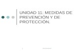 Unidad 11 medidas de prevención y protección