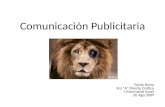 Comunicación Publicitaria-Pablo Reina 5to A
