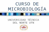 Curso microbiología