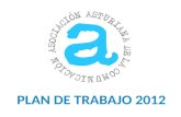 Asociación Asturiana de la Comunicación - Plan de trabajo 2012