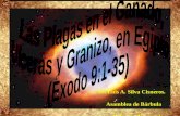 CONF. EXODO 9:1-35. (EX. No. 9). LAS PLAGAS EN EL GANADO, ULCERAS Y GRANIZO, EN EGIPTO