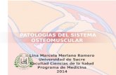 Patologías del sistema osteomuscular