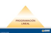1.  programación lineal