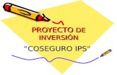 Proyecto  "Coseguro IPS"