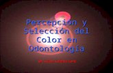 Percepción y selección del color