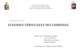 Seminario 16. Lesiones cervicales no cariosas.