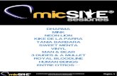Business plan   sesiones mic site