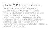POLIMEROS NATURALES 1