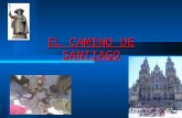 El Camino De Santiago1