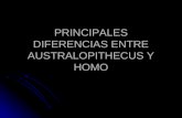 Diferencias Australopithecus Y Homo