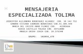 Mensajeria especializada tolima_grupo102058_478