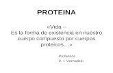 1 Proteina