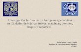 Social Science From Mexico Unam 104