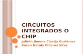 Circuitos Integrados Y Chip