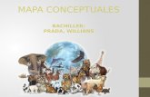 MAPA CONCEPTUAL - ANIMALES EN PELIGRO DE EXTINCION
