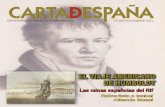 Carta de España Noviembre 2010