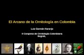 Arcano ornitologia colombiana