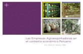 Las empresas agroexportadoras_en_el_contexto_economico_peruano_ucss_2011