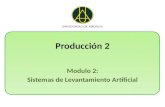Modulo 2 (produccion 2 )