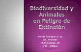 Biodiversidad y animales en peligro de extinción nrc  ##2.pptx