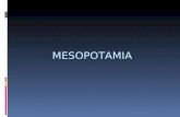 Mesopotamia 01