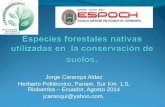 Especies forestales nativas utilizadas en  la conservación de suelos.