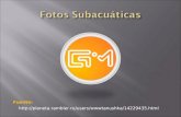 Fotos SubacuáTicas
