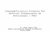 Inmunodeficiencia primaria por defecto de anticuerpos