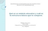 Modulo instruccional de español ( acentuación)