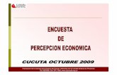 Percepcion Economica 2009